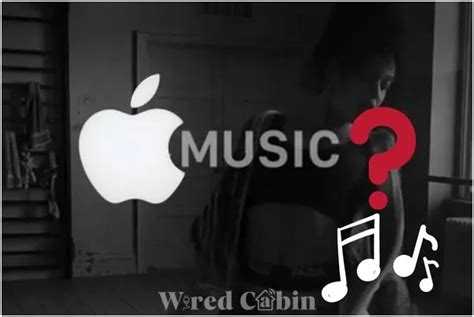 Why Is Apple Music Not Working? An Insightful Exploration into the Issue